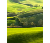 圈神分时万手单