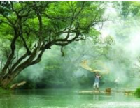 竞价数据分析软件