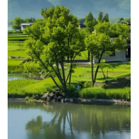 大智慧牛犇决策系统